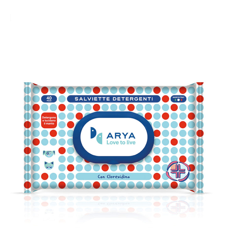 Arya - Salviette Igieniche - da 40 salviette