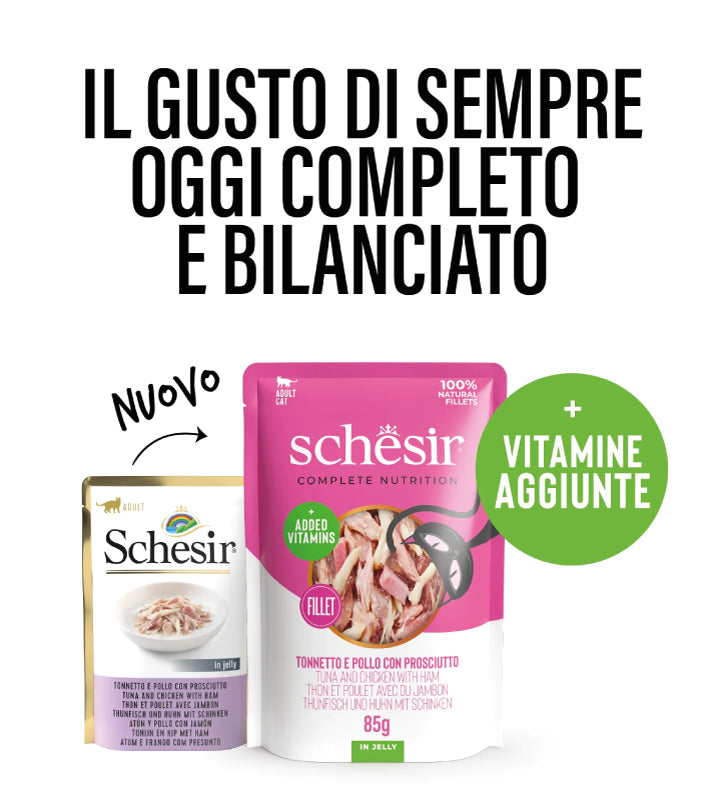Schesir Cat - Completo - In Gelatina - Adult - 85gr