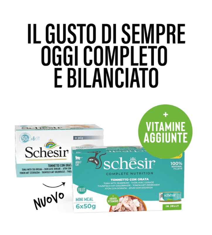 Schesir Cat - Multipack - In Gelatina - 6x50g