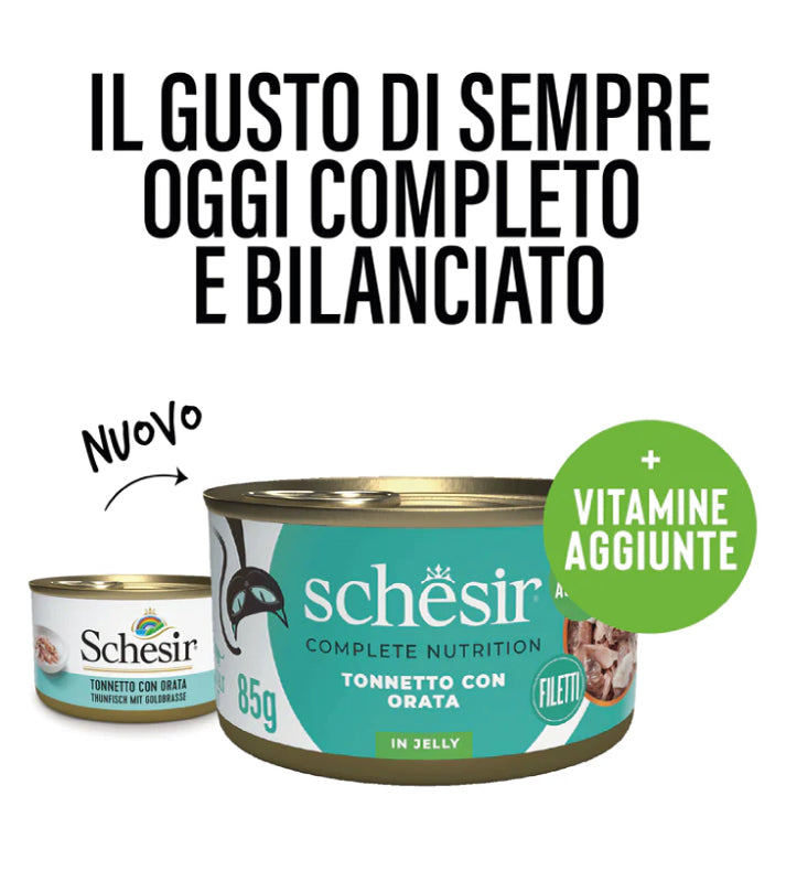 Schesir Cat - Completo - In Gelatina - Adult - 85gr