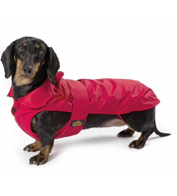 Fashion Dog - Cappotto Impermeabile - con Imbottitura Staccabile - Per Bassotti
