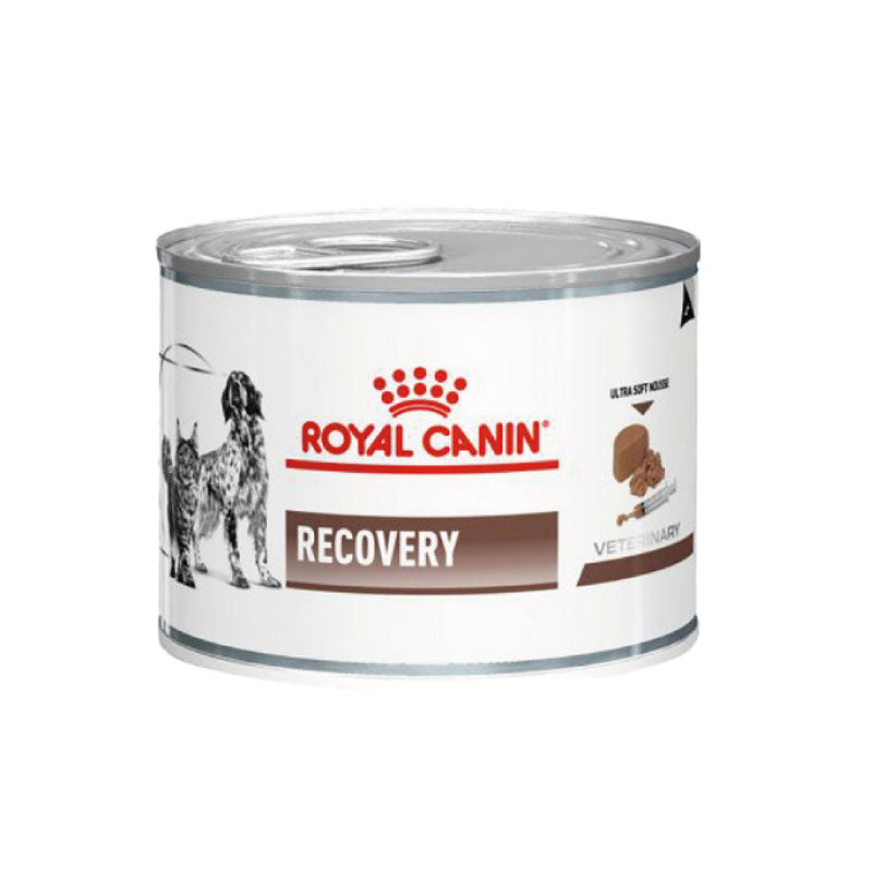 Royal Canin - Veterinary Diet Canine/Feline - Recovery - 195gr